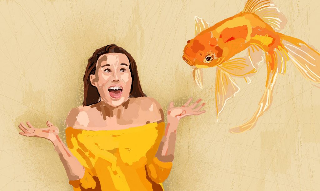 Eine überraschte Frau blickt auf einen großen goldenen Fisch in der Luft. Illustration Eschwege Illustratorin Bettina Zimmermann TinaZett Kunst Werra-Meissner-Kreis Eschwege Zeichnung Zeichner Eschwege Illustration Werra-Meißner Buchillustration
