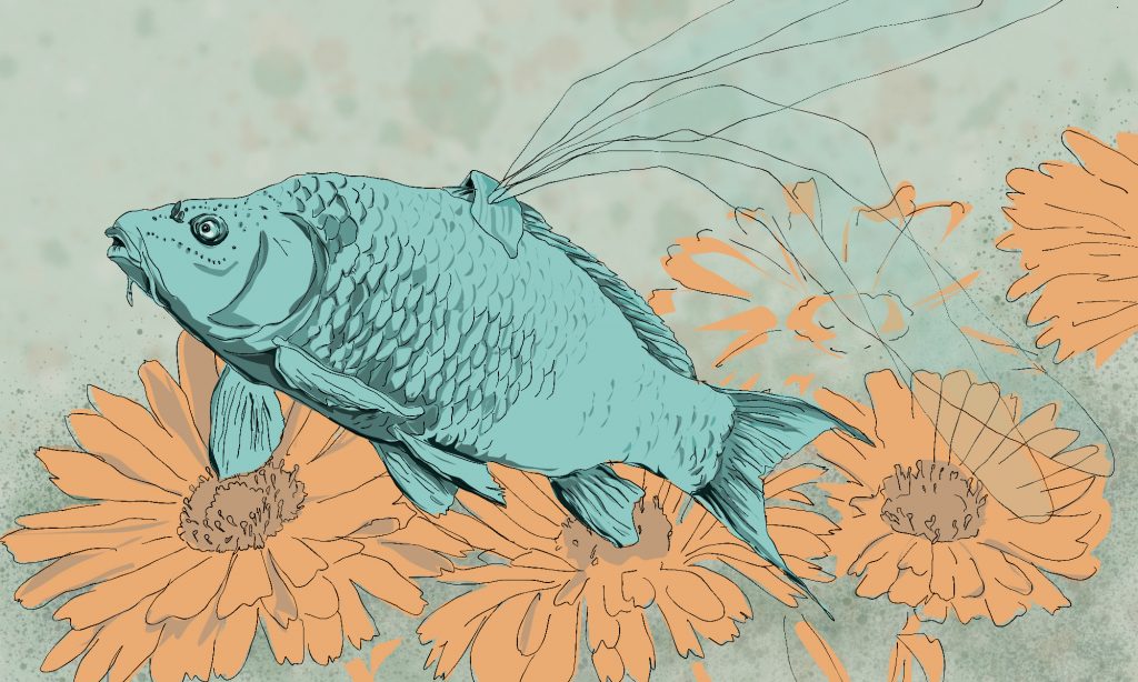 „Schwimmender Fisch inmitten von Blumen, begleitet von zarten Linien im Hintergrund. Illustration Eschwege Illustratorin Bettina Zimmermann TinaZett Kunst Werra-Meissner-Kreis Eschwege Zeichnung Zeichner Eschwege Illustration Werra-Meißner Buchillustration