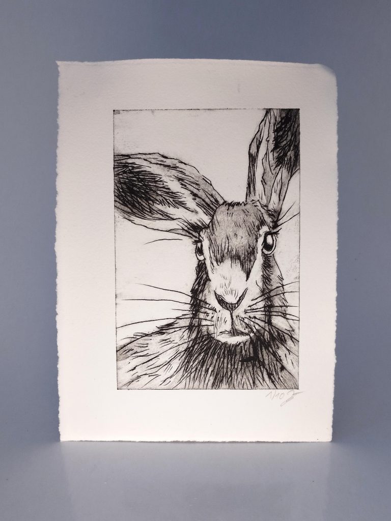 Handgemachte Radierung eines Hasen von Bettina Zimmermann aus Eschwege. Limitierte Auflage von 10, nummeriert und signiert. Perfekt für Sammler und Naturkunstliebhaber.