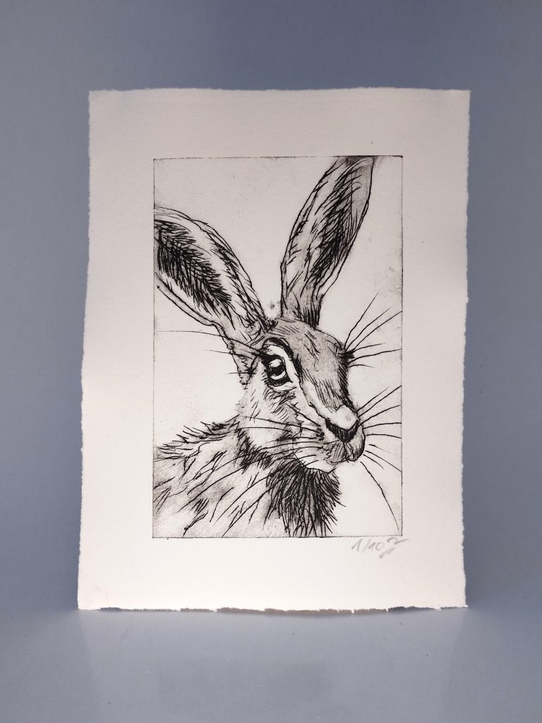 Handgemachte Radierung eines Hasen von Bettina Zimmermann aus Eschwege. Limitierte Auflage von 10, nummeriert und signiert. Perfekt für Sammler und Naturkunstliebhaber.