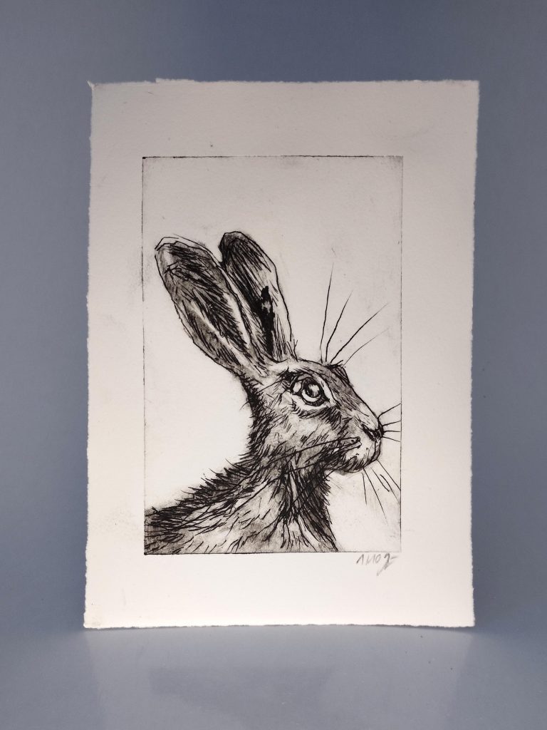 Handgemachte Radierung eines Hasen von Bettina Zimmermann aus Eschwege. Limitierte Auflage von 10, nummeriert und signiert. Perfekt für Sammler und Naturkunstliebhaber.