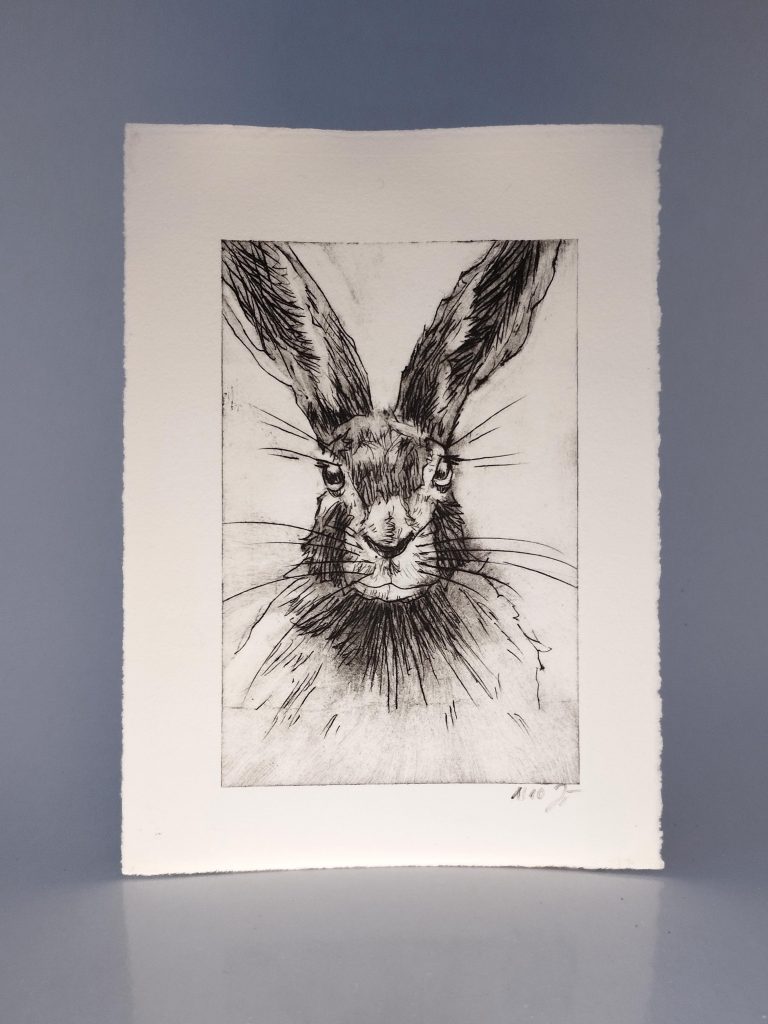 Handgemachte Radierung eines Hasen von Bettina Zimmermann aus Eschwege. Limitierte Auflage von 10, nummeriert und signiert. Perfekt für Sammler und Naturkunstliebhaber.