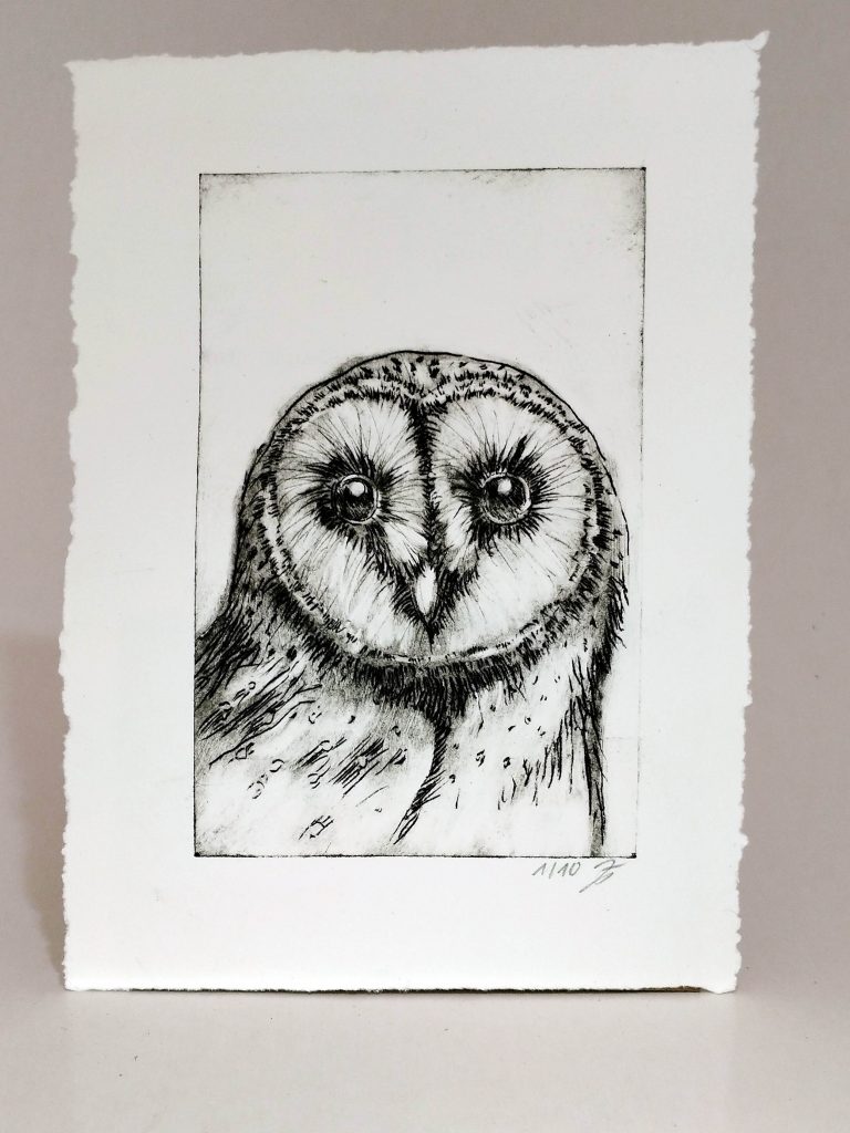 Detailreiche Radierung einer Schleiereule von Bettina Zimmermann, charmant und mystisch, limitierte Auflage von 10, nummeriert und signiert.