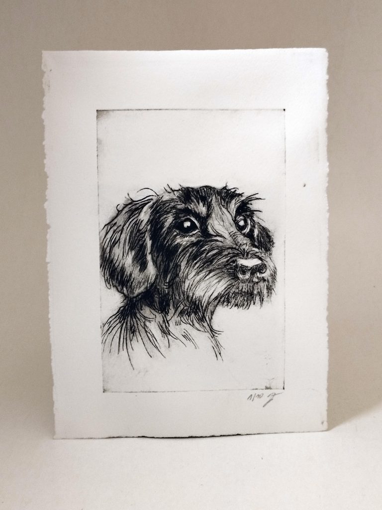 Handgefertigte Radierung eines Dackels, gestaltet von Bettina Zimmermann in Eschwege. Detailgetreues Hundeportrait auf hochwertigem Büttenpapier – limitiertes Kunstwerk, ideal für Hundeliebhaber.