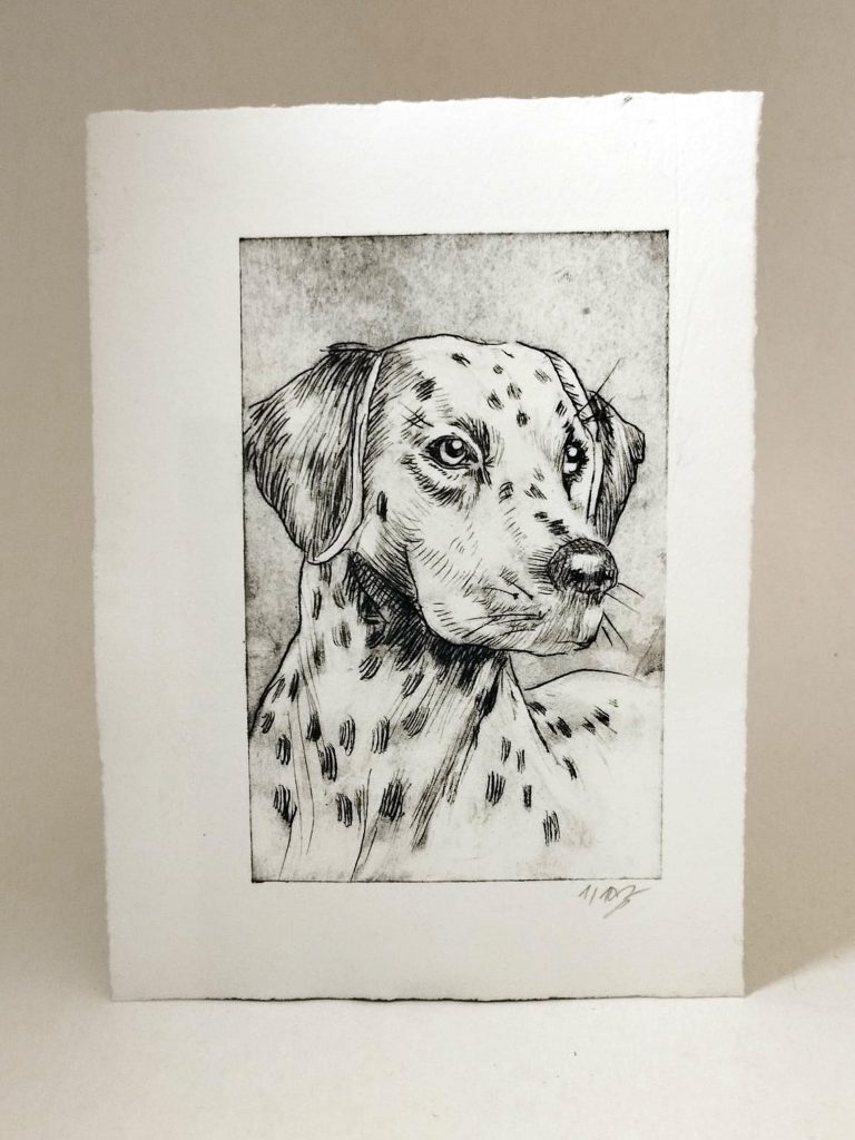 Handgefertigte Radierung eines Dalmatiners, gestaltet von Bettina Zimmermann in Eschwege. Detailgetreues Hundeportrait auf hochwertigem Büttenpapier – limitiertes Kunstwerk. Radierung Dalmatiner Tierportrait Unikat