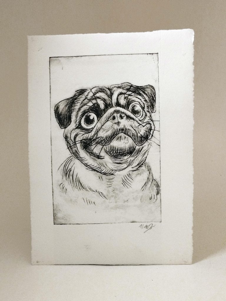 Handgefertigte Radierung eines Mopses, gestaltet von Bettina Zimmermann in Eschwege. Detailgetreues Hundeportrait auf hochwertigem Büttenpapier – limitiertes Kunstwerk.