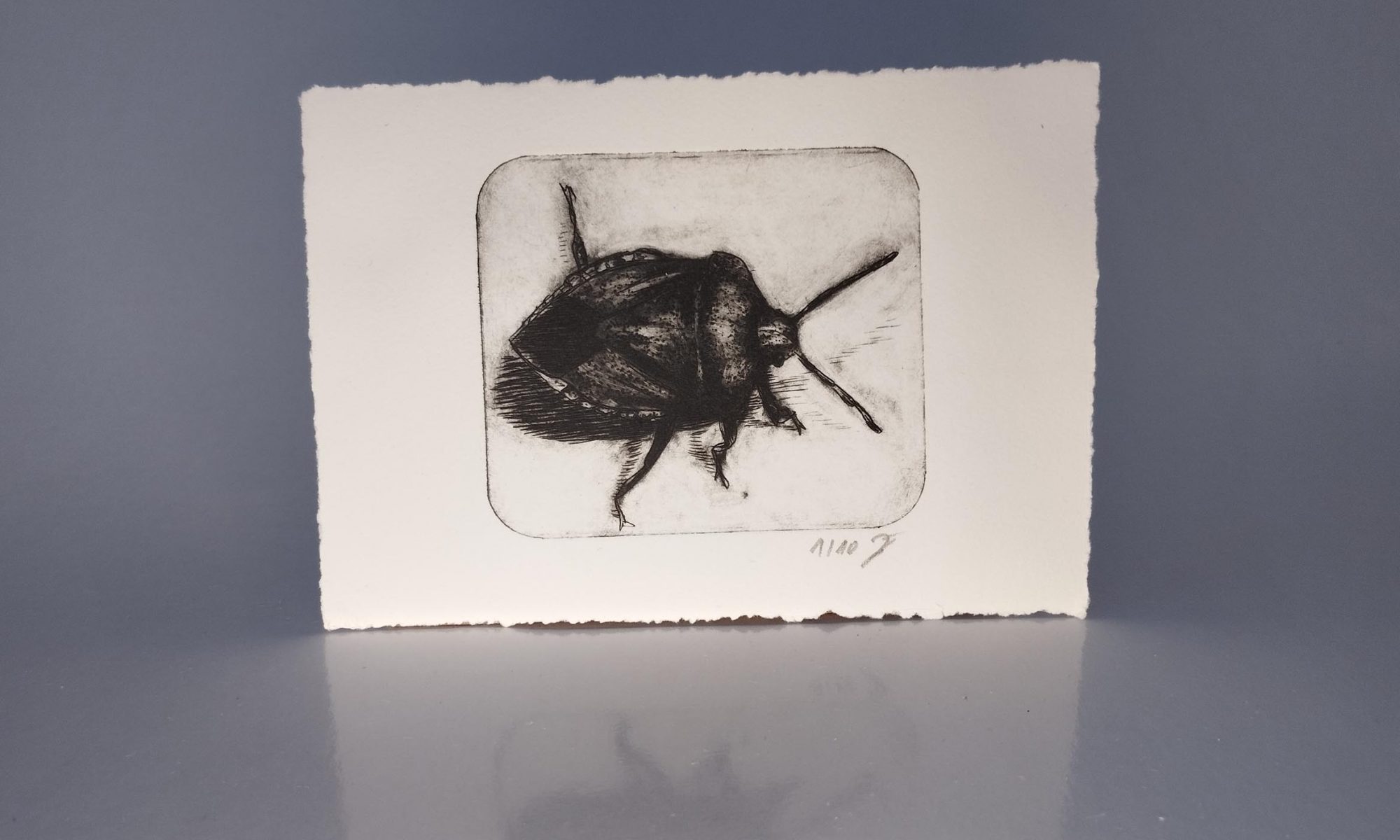 Kaltnadelradierung einer Grünen Stinkwanze auf Büttenpapier – Grüne Stinkwanze – Kaltnadelradierung auf Büttenpapier.