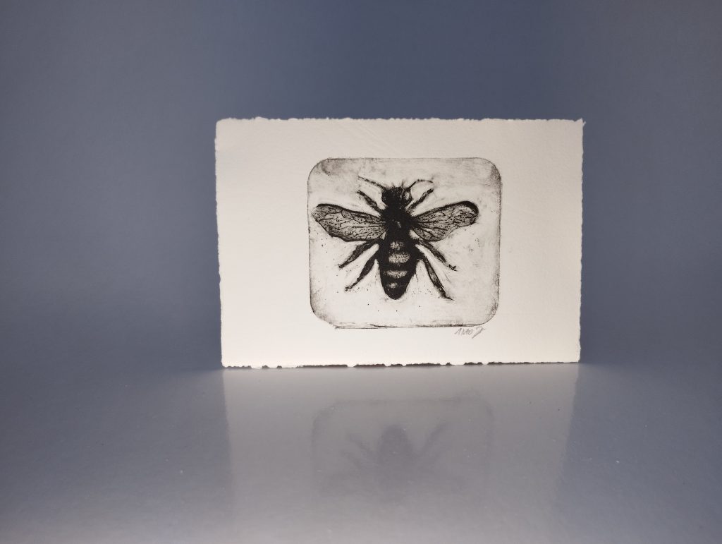 Honigbiene frontal mit ausgebreiteten Flügeln – Kaltnadelradierung auf Büttenpapier, limitiert auf 10 Exemplare, handgewischt