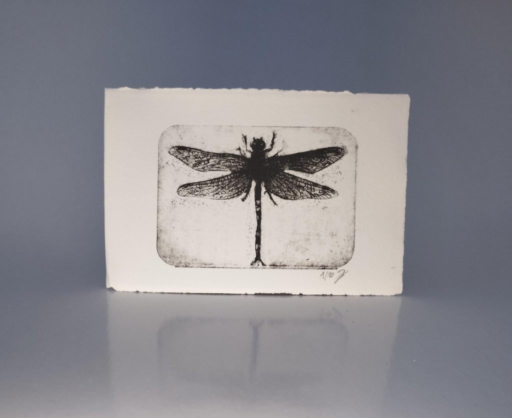 Kaltnadelradierung einer Libelle auf Büttenpapier – Libelle – Kaltnadelradierung auf Büttenpapier.