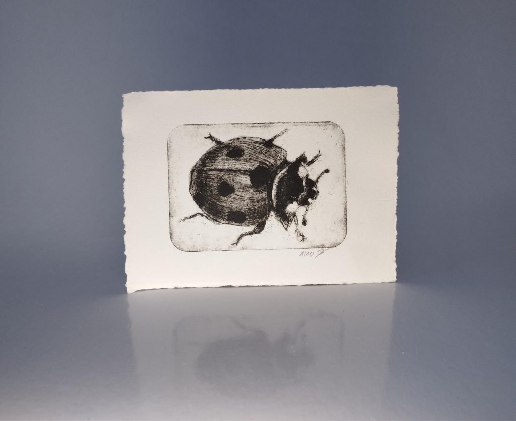 Kaltnadelradierung eines Marienkäfers auf Büttenpapier – Marienkäfer – Kaltnadelradierung auf Büttenpapier.